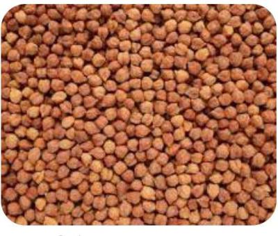 खड़ा चना 250g